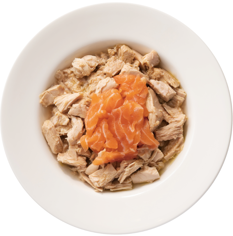 Can Food Tuna & Salmon